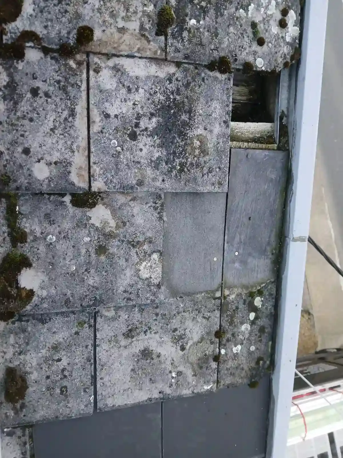 HERSTELLING ROTSELAAR - 1