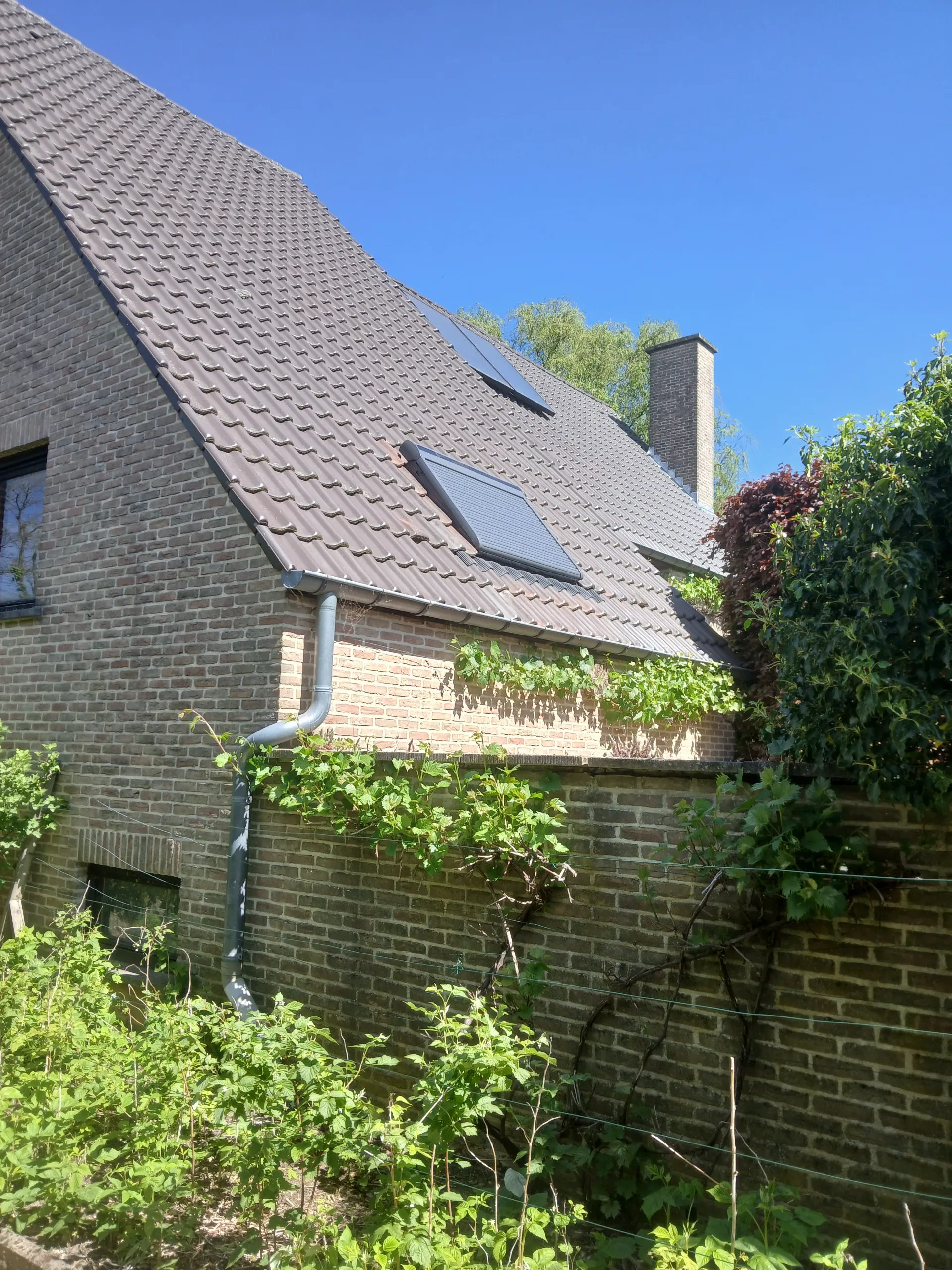 Renovatie veluxen + Rolluiken HERENT - 5